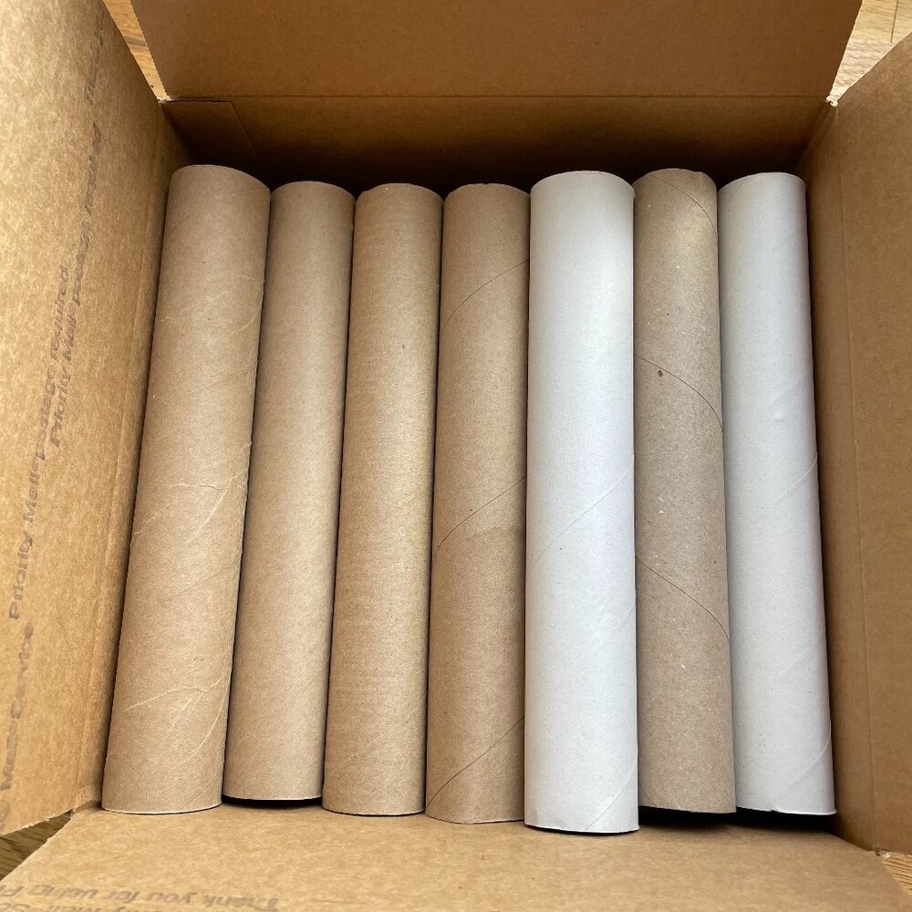 20 Empty Paper Towel Tubes Cardboard Tubes Craft Art Project School Camp Kids